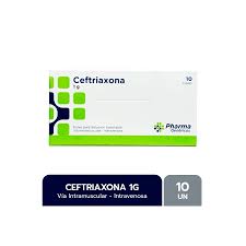CEFTRIAXONA 1G - VIA IM/IV