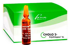 [PASCOE] CHOLO -2  IV AMP
